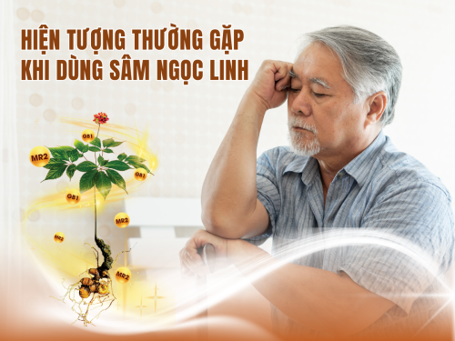 Hiện tượng khi dùng Ngọc Linh sâm: Hiểu đúng để không lo lắng